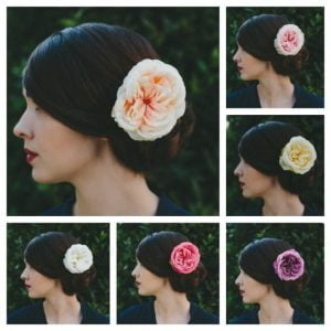 Peach Rose Hair Clip collage