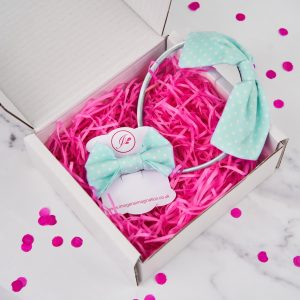 Mint Green Headband and Hair Clip Gift Set